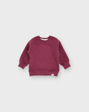 Organic Cotton Baby Sweatshirt